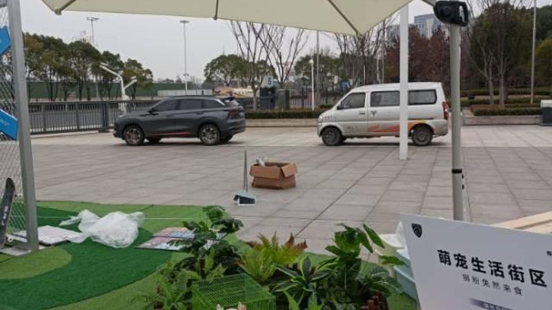 画册设计规范：解码专业与标准的秘密